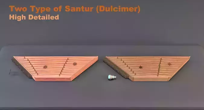 High Detailed Santur 