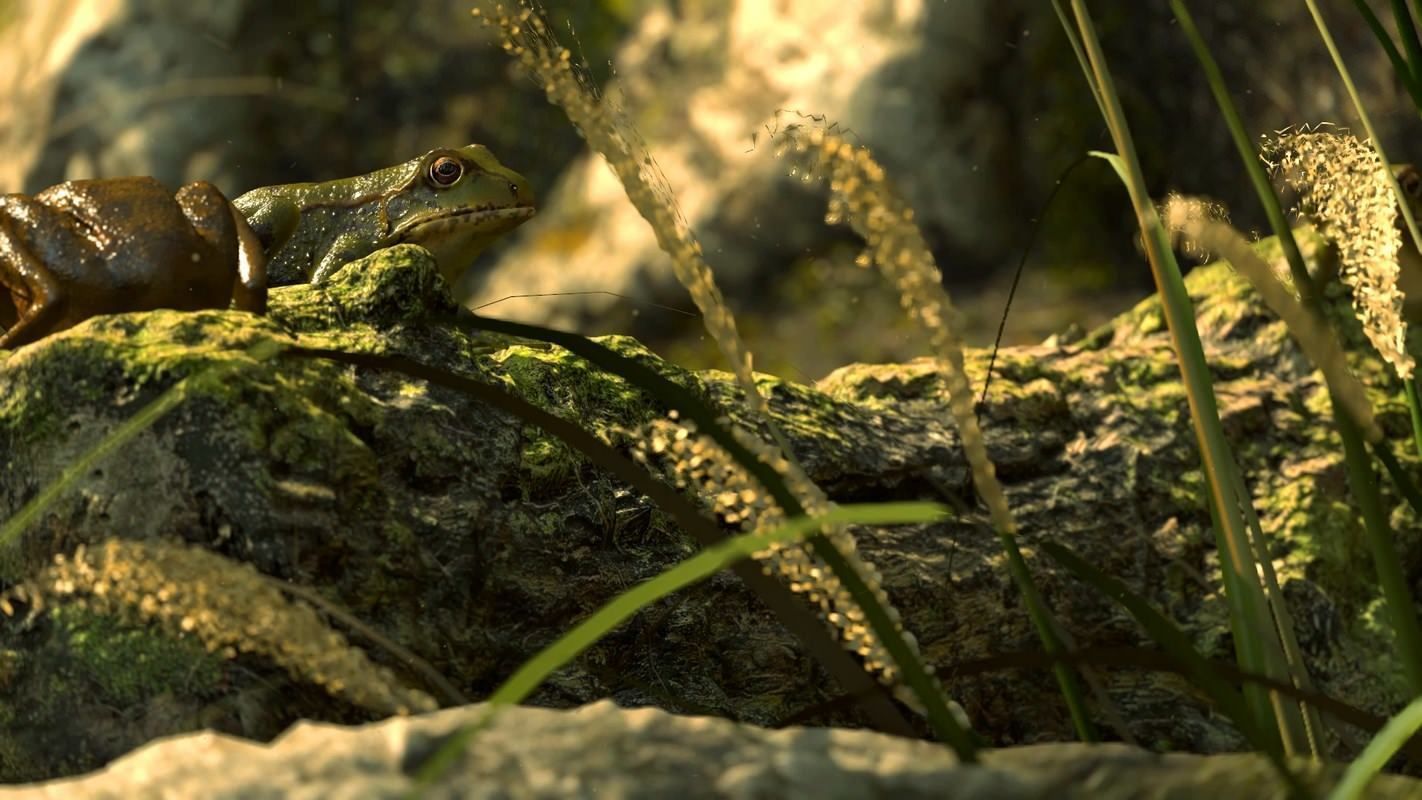 Frogs frog Low-poly 3D model_2