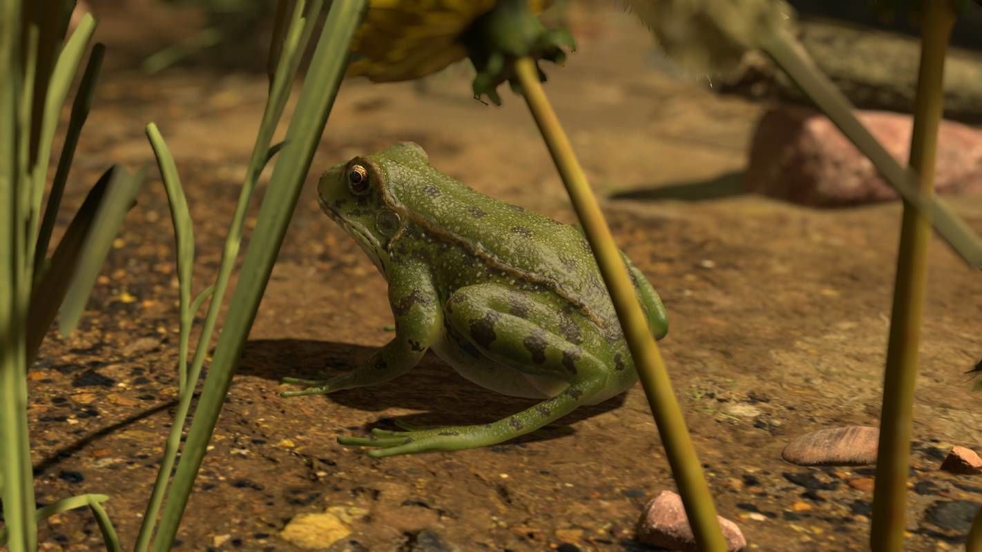 Frogs frog Low-poly 3D model_45