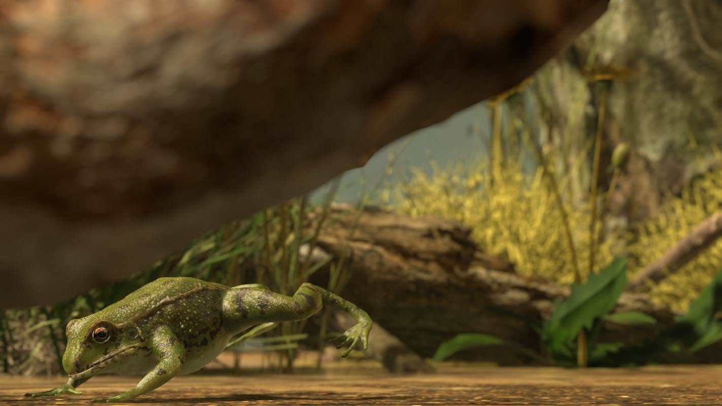 Frogs frog Low-poly 3D model_40