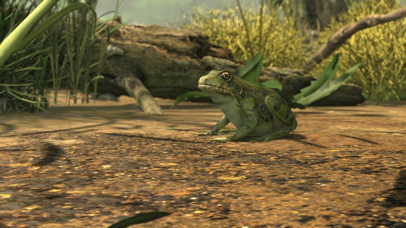 Frogs frog Low-poly 3D model_20