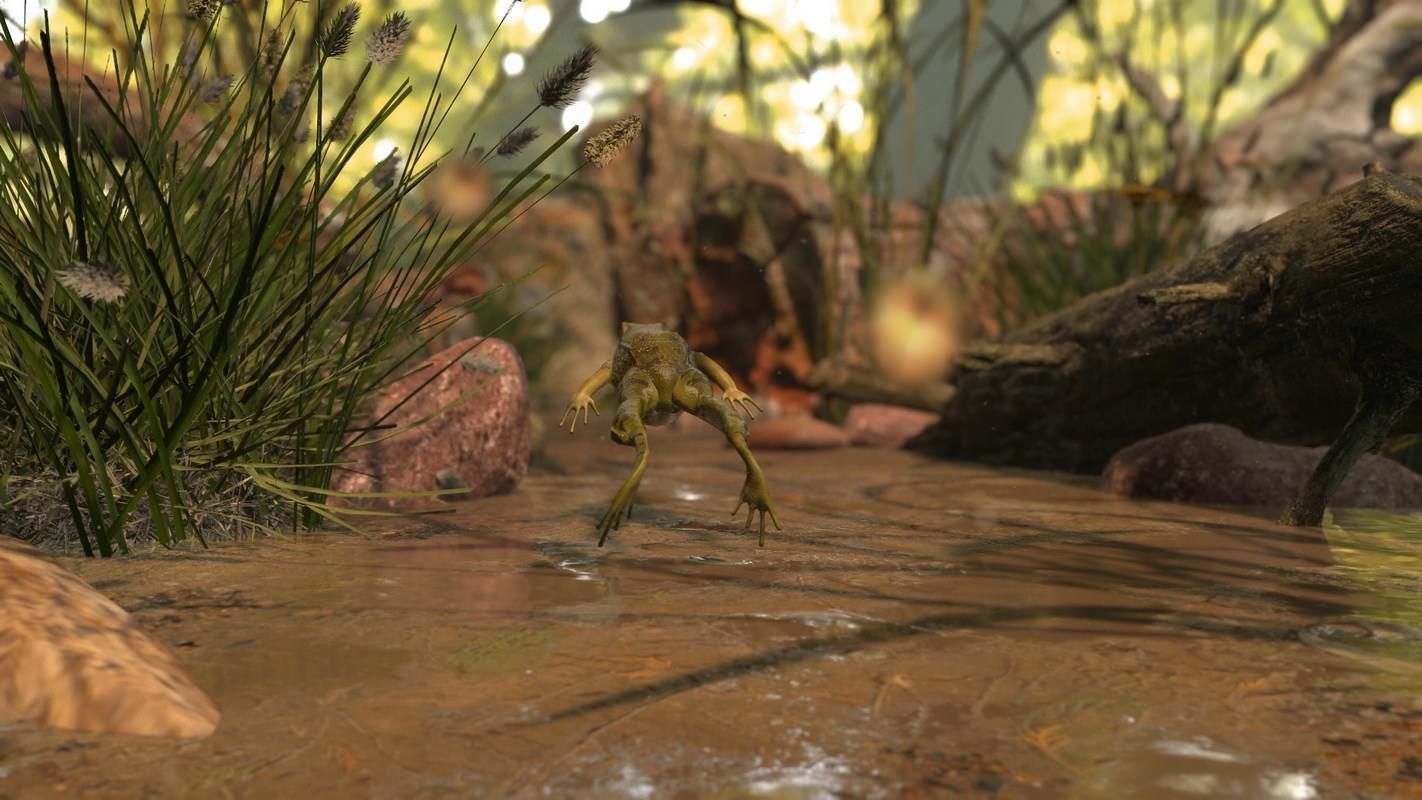 Frogs frog Low-poly 3D model_22