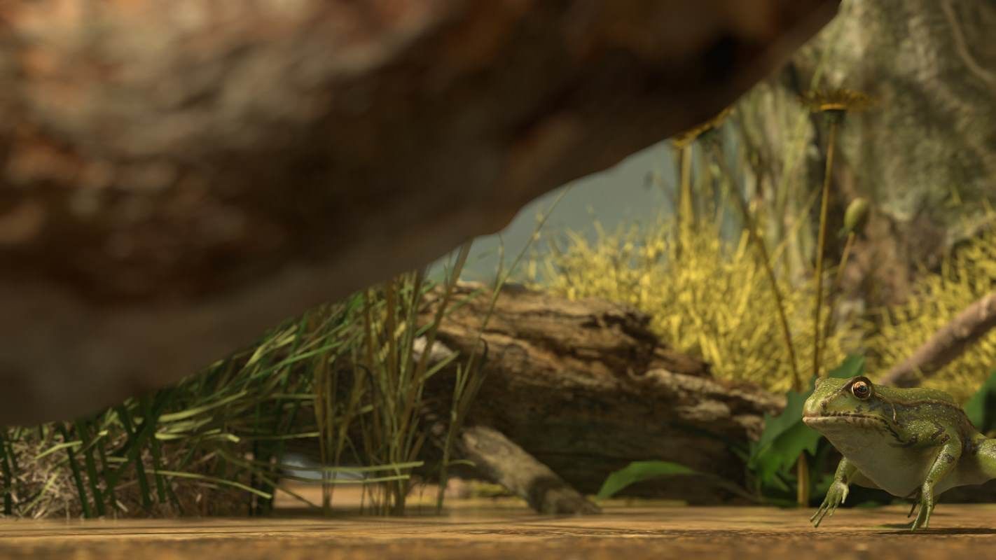 Frogs frog Low-poly 3D model_36