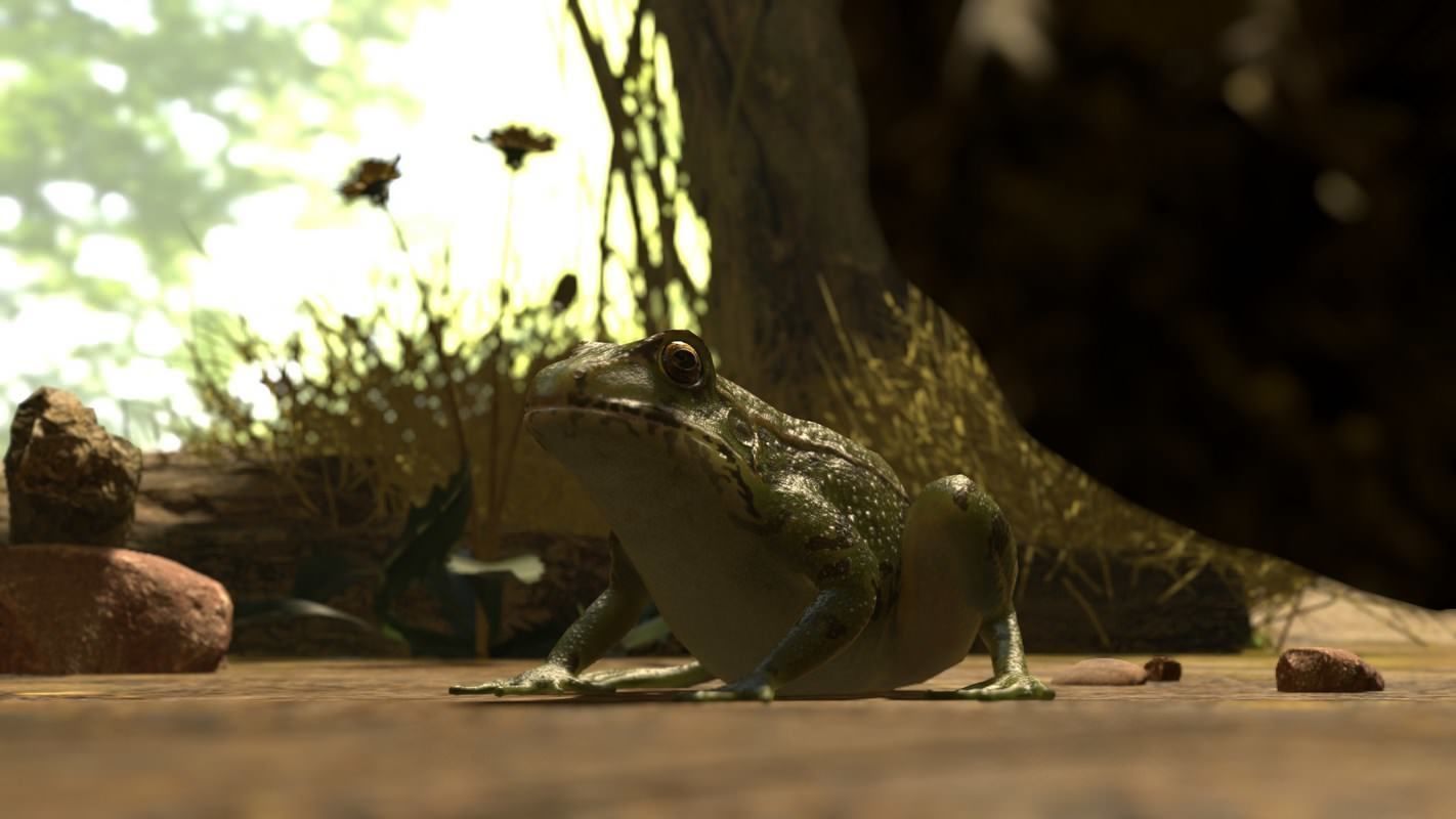 Frogs frog Low-poly 3D model_47