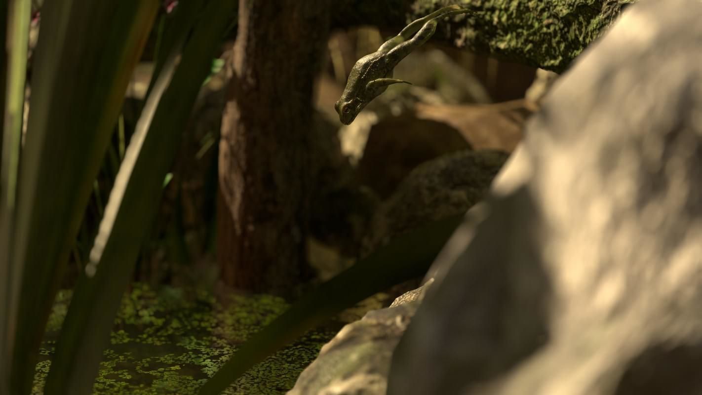 Frogs frog Low-poly 3D model_58
