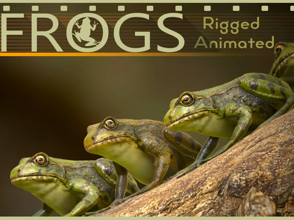 Frogs frog Low-poly 3D model_0