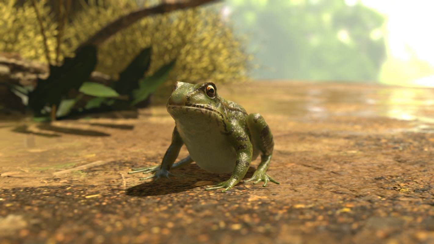 Frogs frog Low-poly 3D model_26