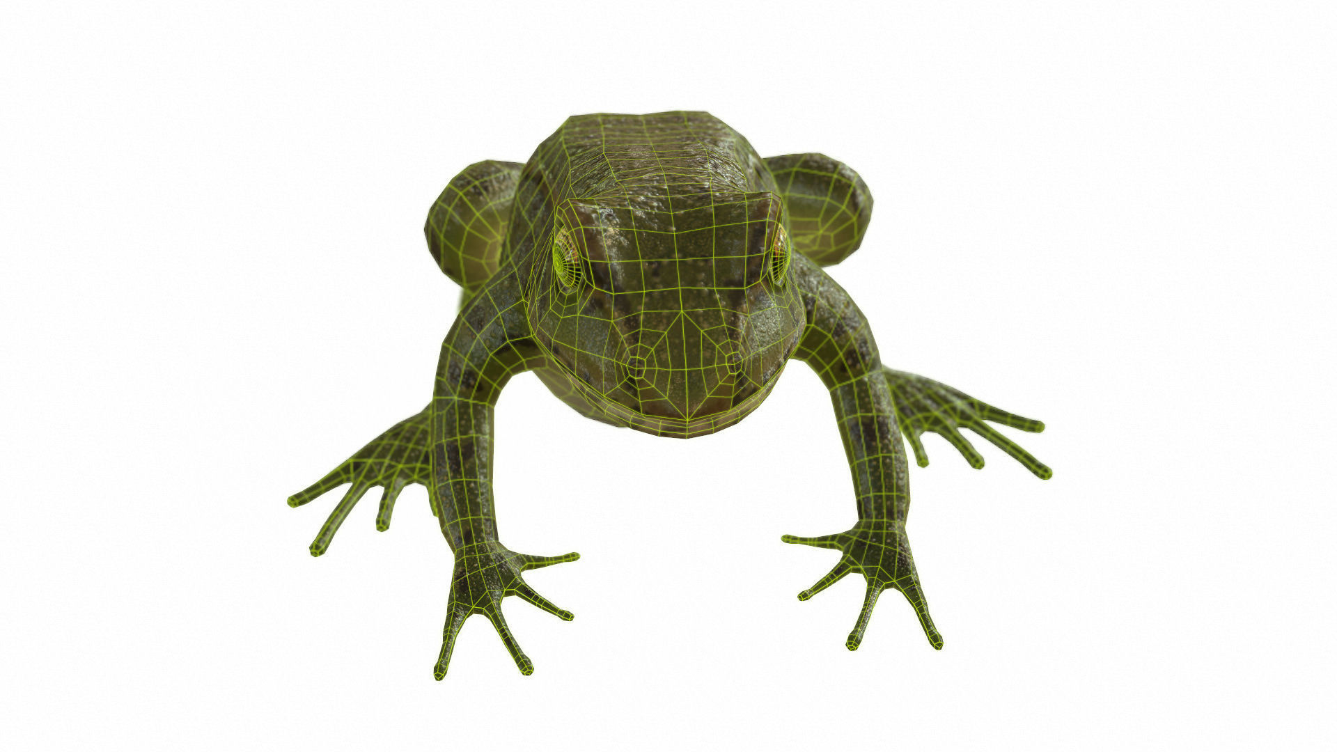 Frogs frog Low-poly 3D model_66