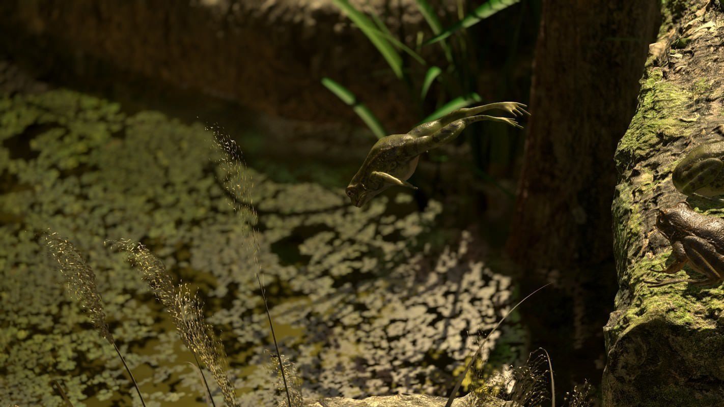 Frogs frog Low-poly 3D model_57