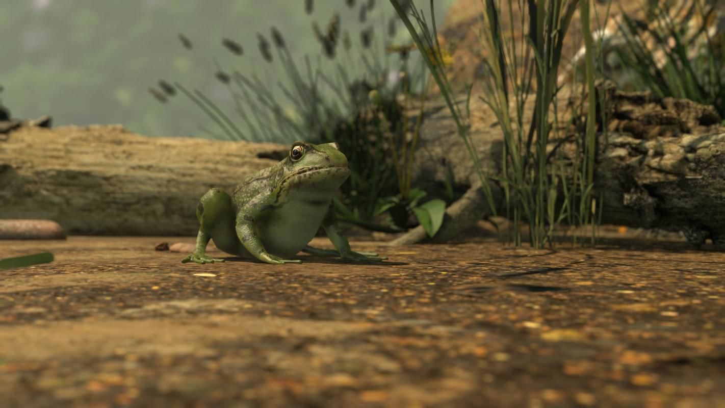 Frogs frog Low-poly 3D model_43