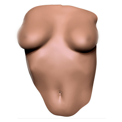Female Torso Wall Deco 3D print model