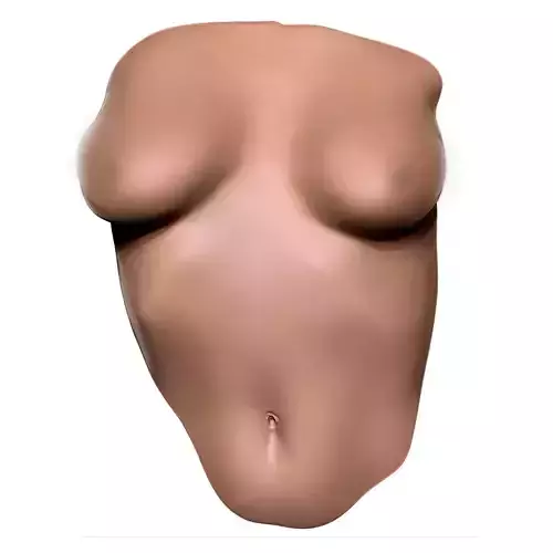 Female Torso Wall Deco