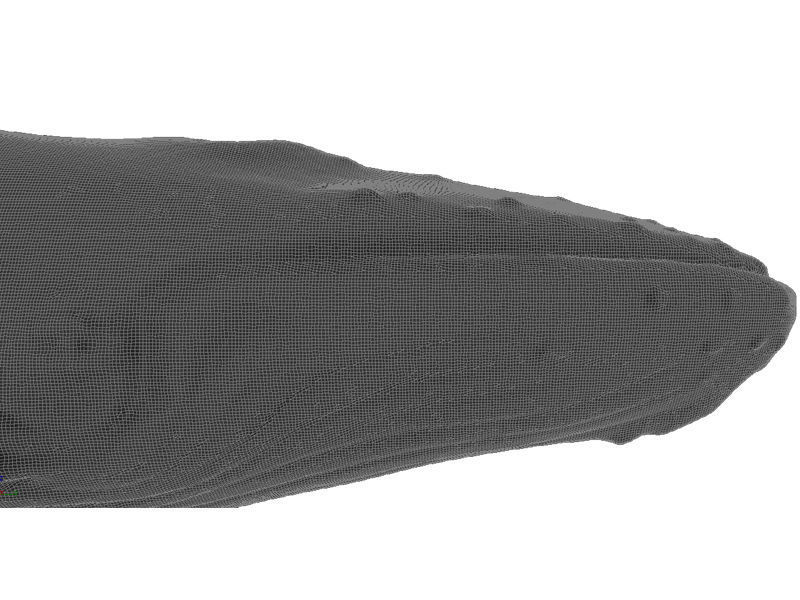 Humback Whale Printable 3D print model_7