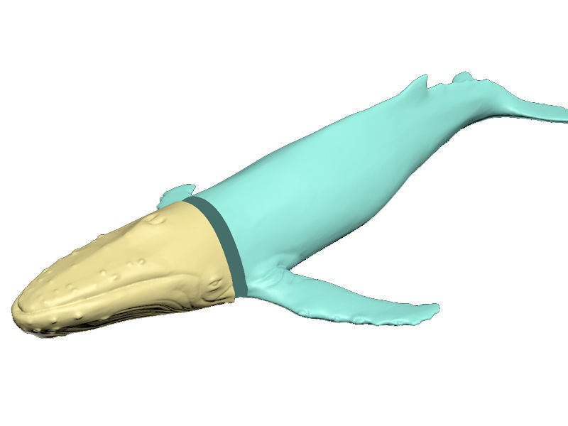 Humback Whale Printable 3D print model_1