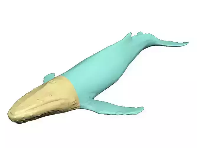 Humback Whale Printable 3D print model