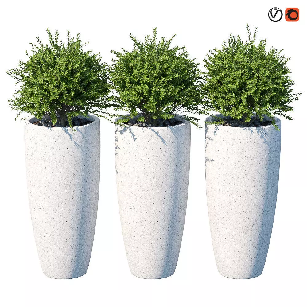 Plant in the pot III 3D model_0