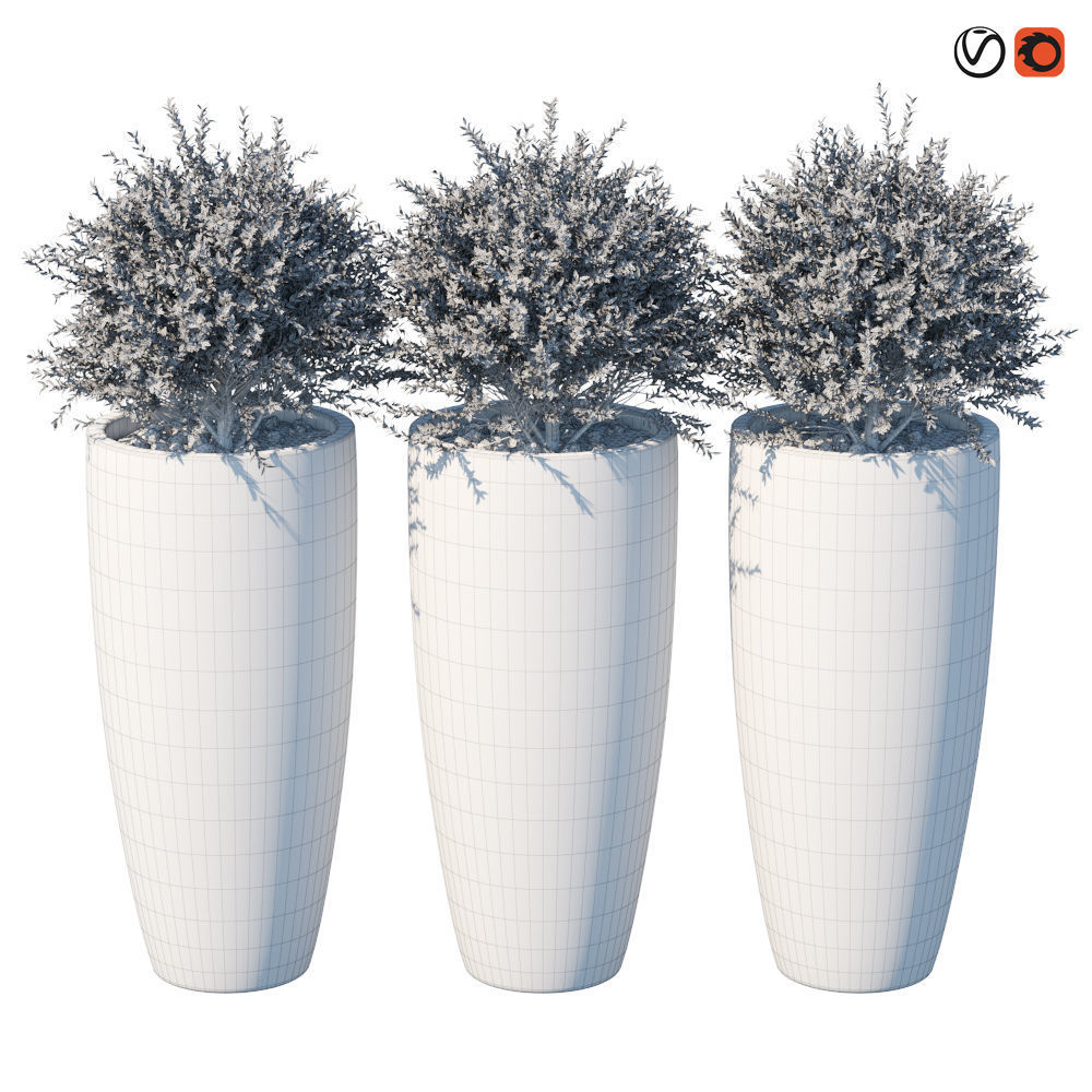 Plant in the pot III 3D model_2