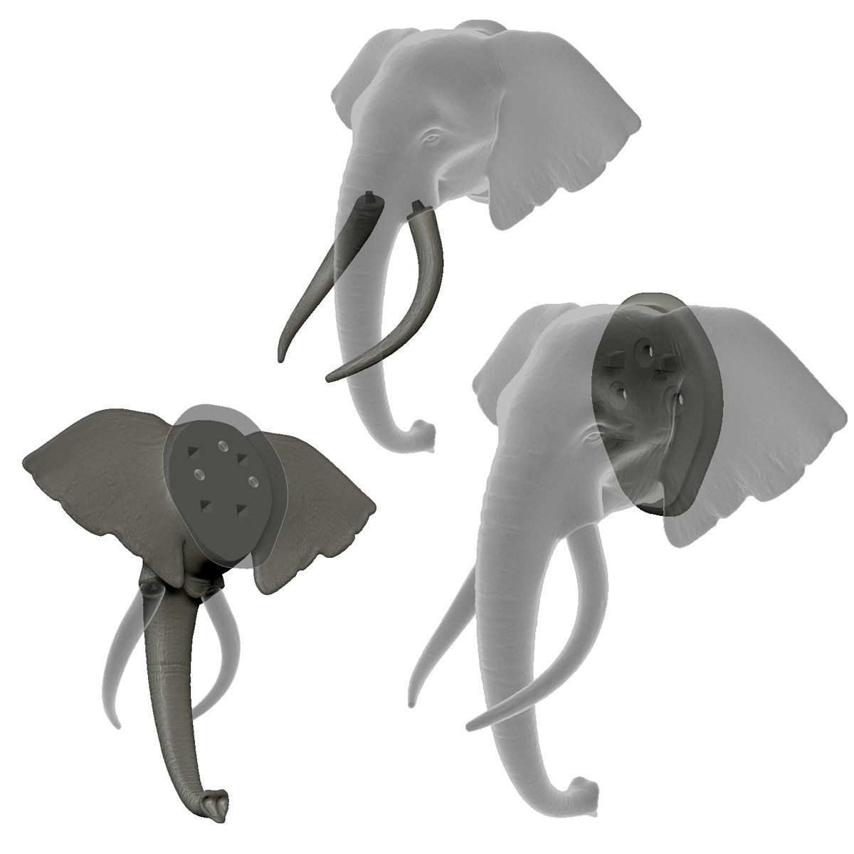 Elephant Head Trophy Wall Mount 3D print model_7