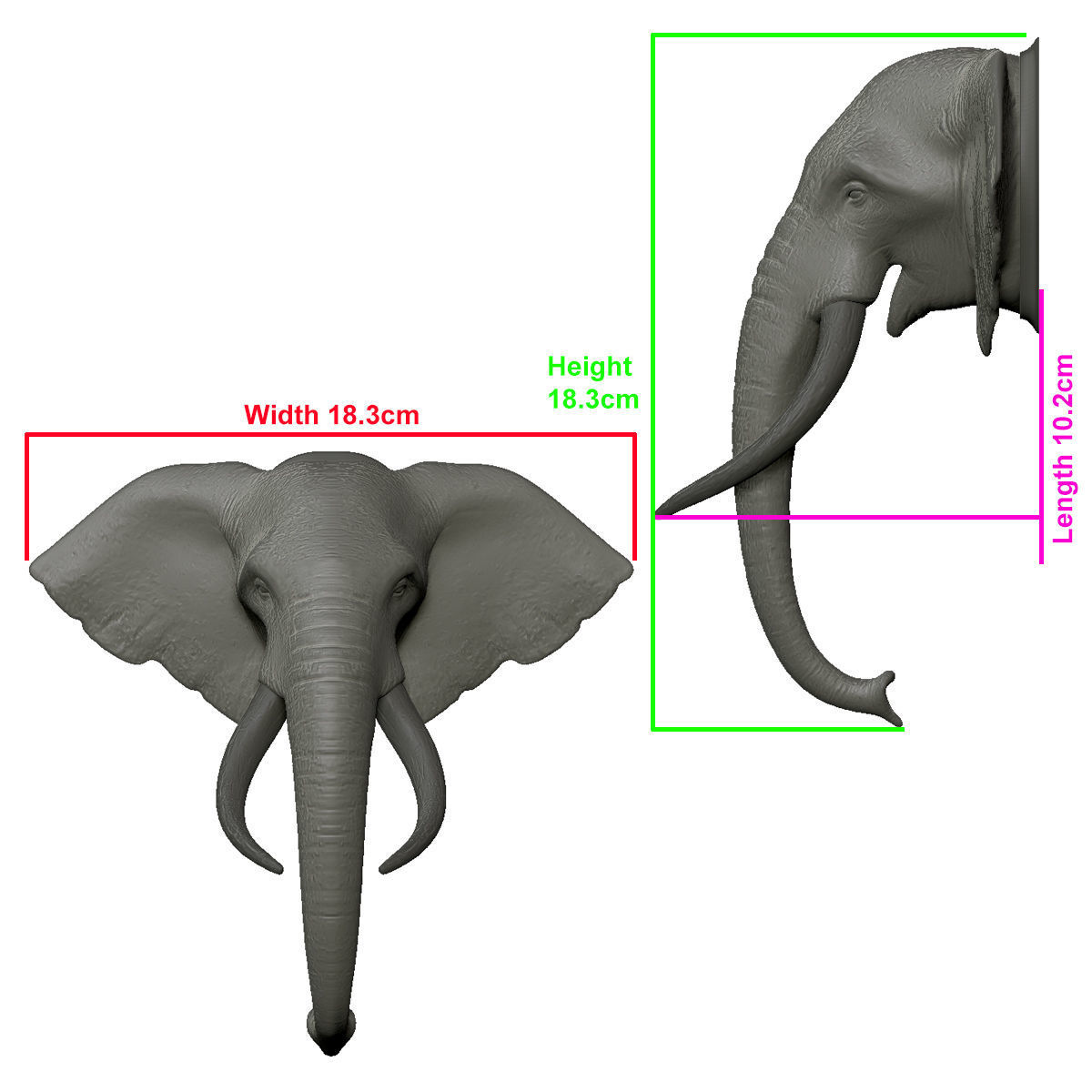 Elephant Head Trophy Wall Mount 3D print model_8