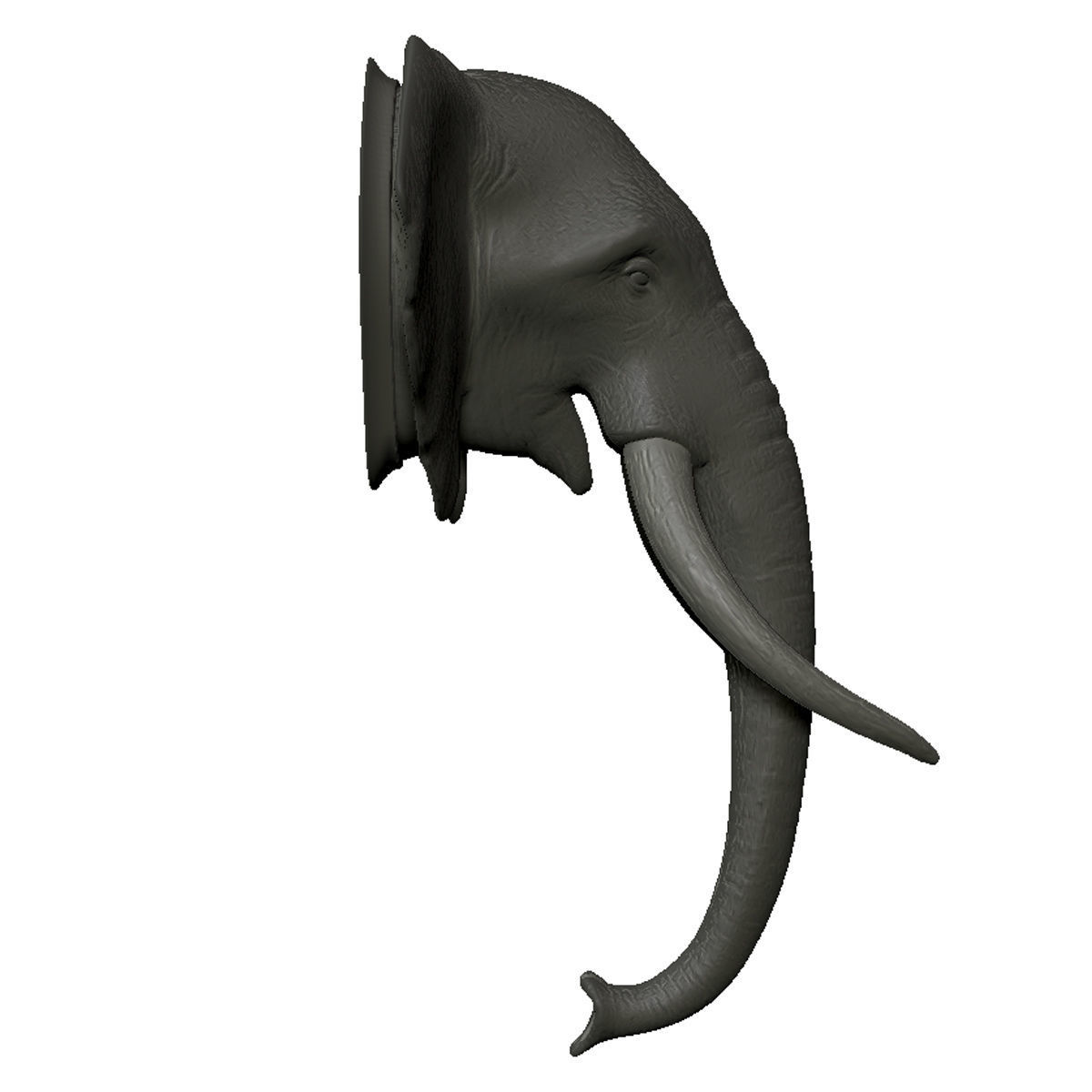 Elephant Head Trophy Wall Mount 3D print model_4