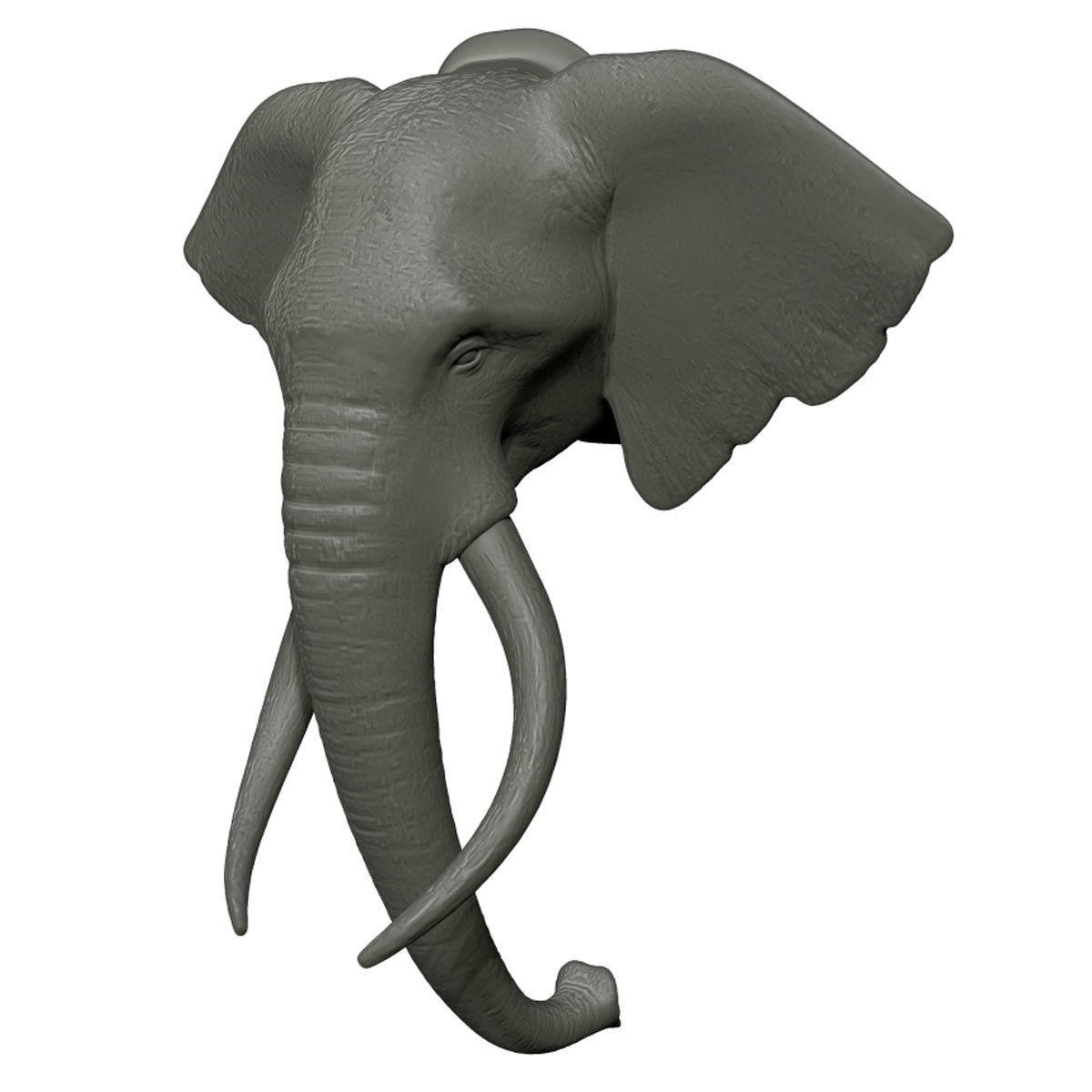 Elephant Head Trophy Wall Mount 3D print model_5
