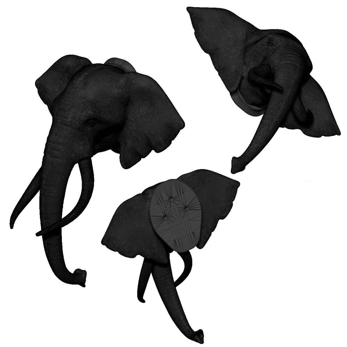 Elephant Head Trophy Wall Mount 3D print model_9