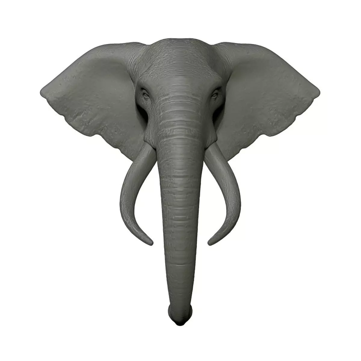 Elephant Head Trophy Wall Mount 3D print model_0