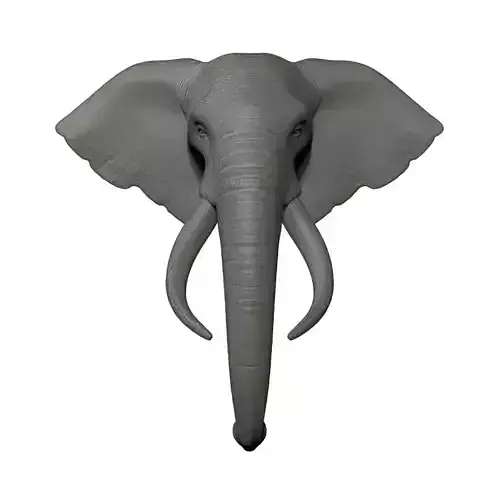 Elephant Head Trophy Wall Mount 3D print model