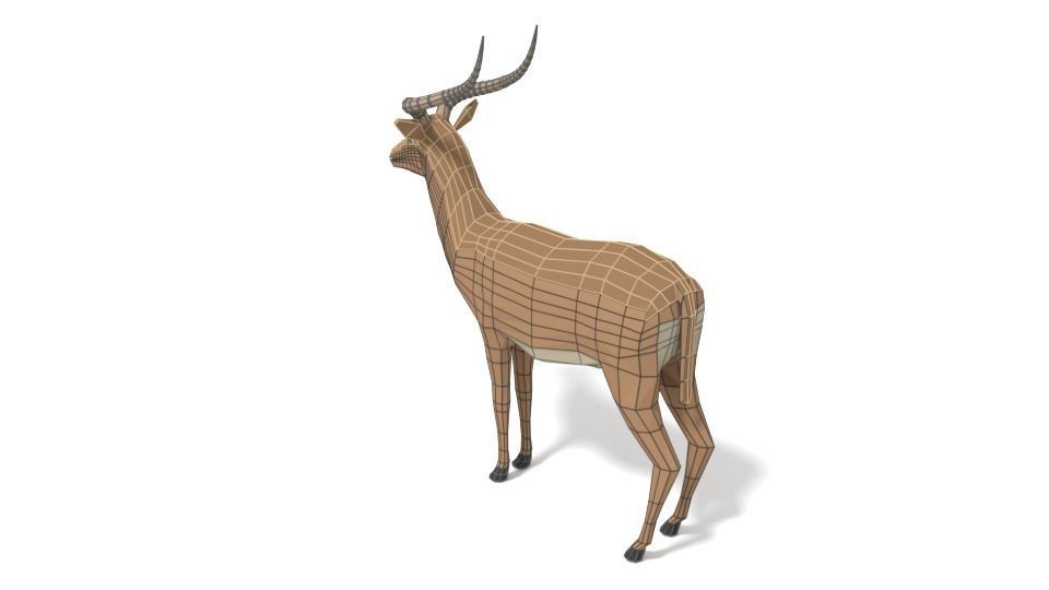 Low Poly Cartoon Impala Antelope Low-poly 3D model_10