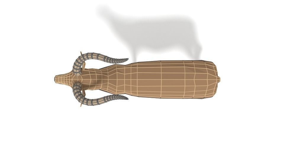 Low Poly Cartoon Impala Antelope Low-poly 3D model_11