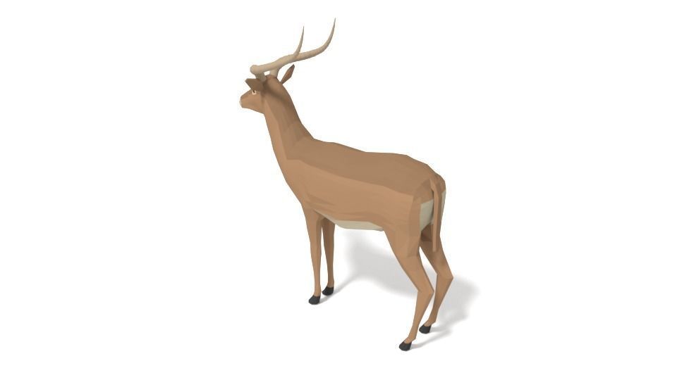 Low Poly Cartoon Impala Antelope Low-poly 3D model_4