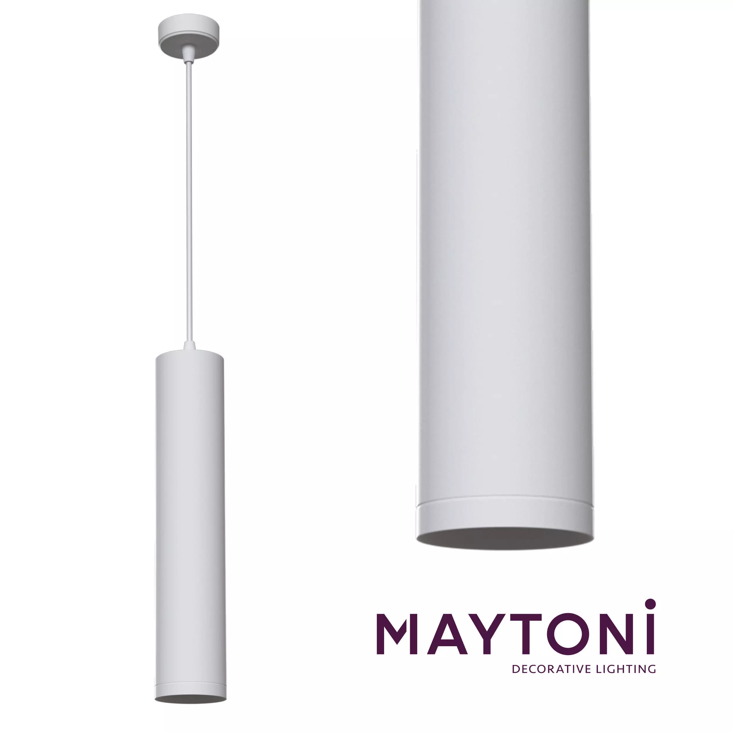 Pendant Lamp Shelby P020PL-01W Maytoni Technical Free 3D model