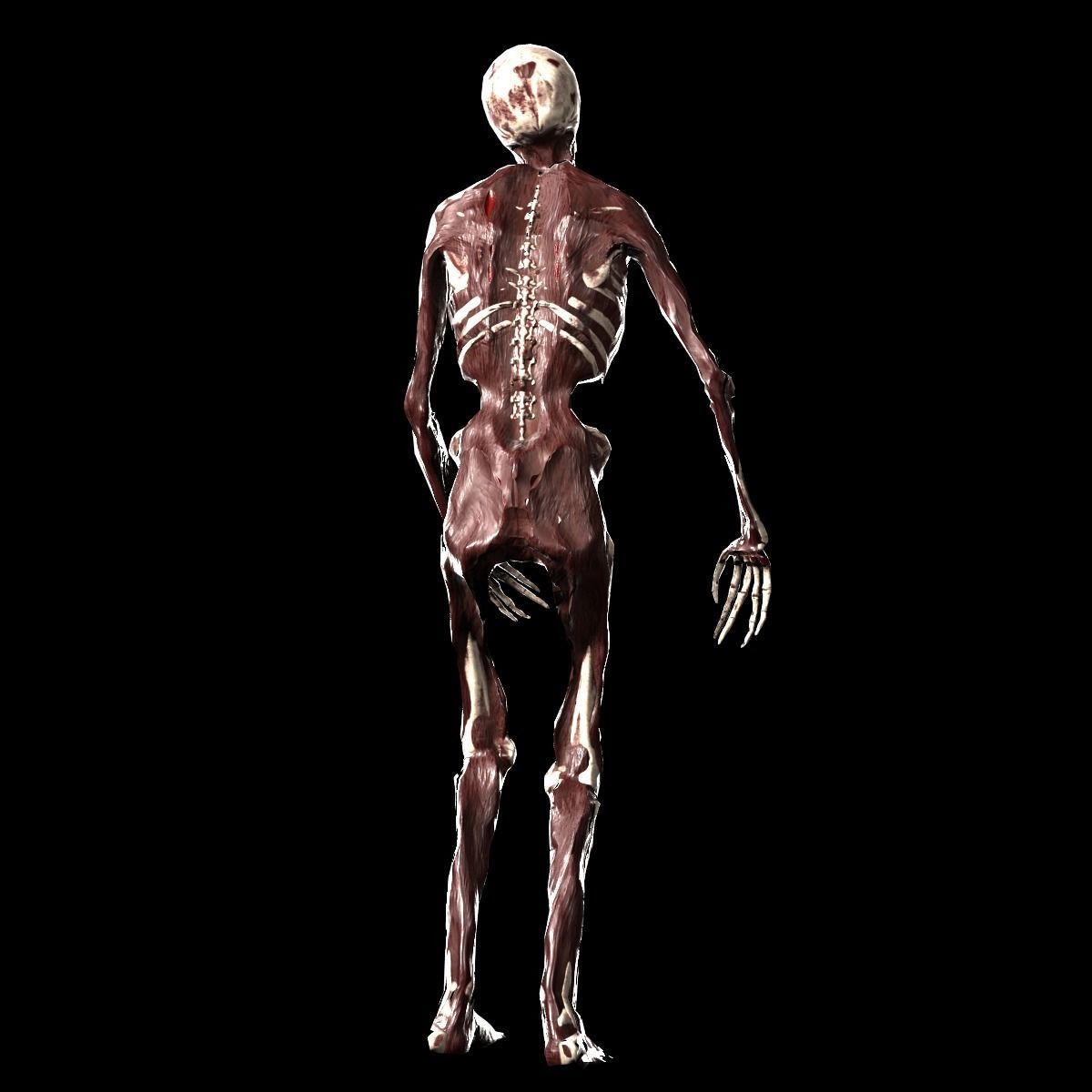 Zombie Rigged Low-poly 3D model_3