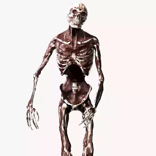 Zombie Rigged Low-poly 3D model