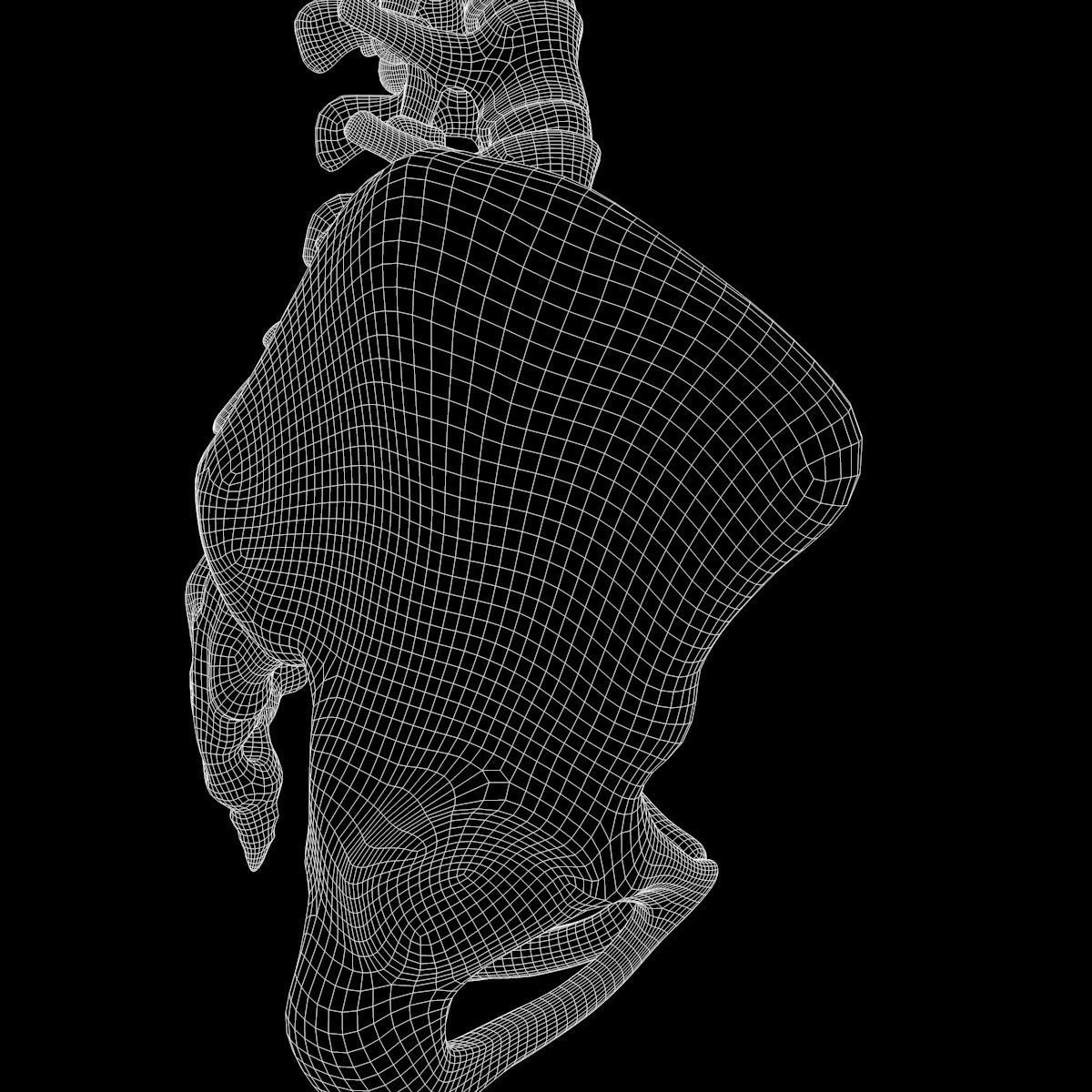 Full Body Skeleton System Anatomy 3D model_66