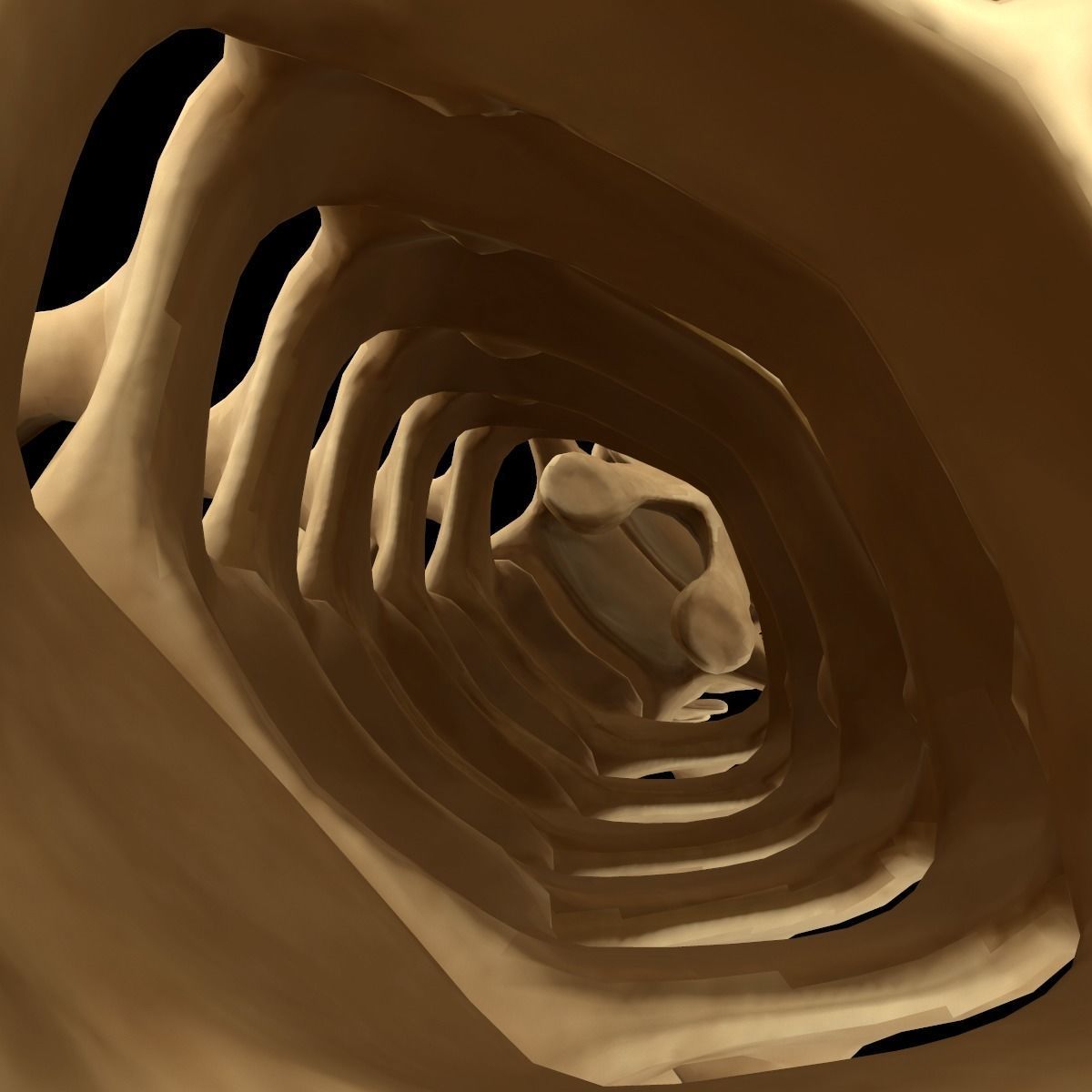 Full Body Skeleton System Anatomy 3D model_56