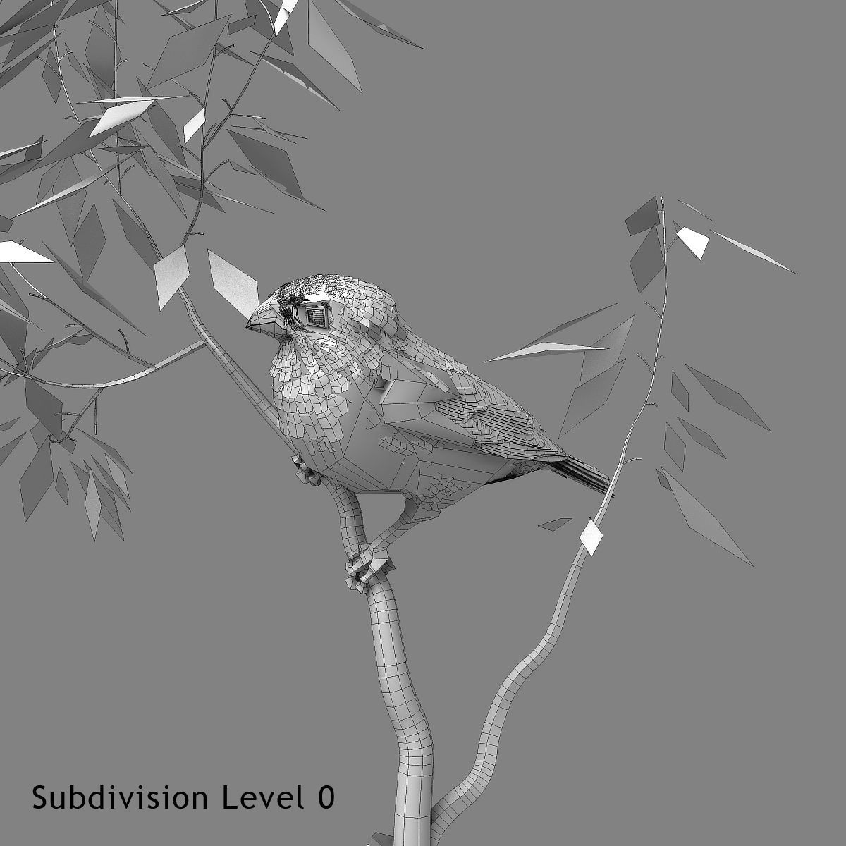 Eurasian Bullfinch - rigged - animated 3D model_22