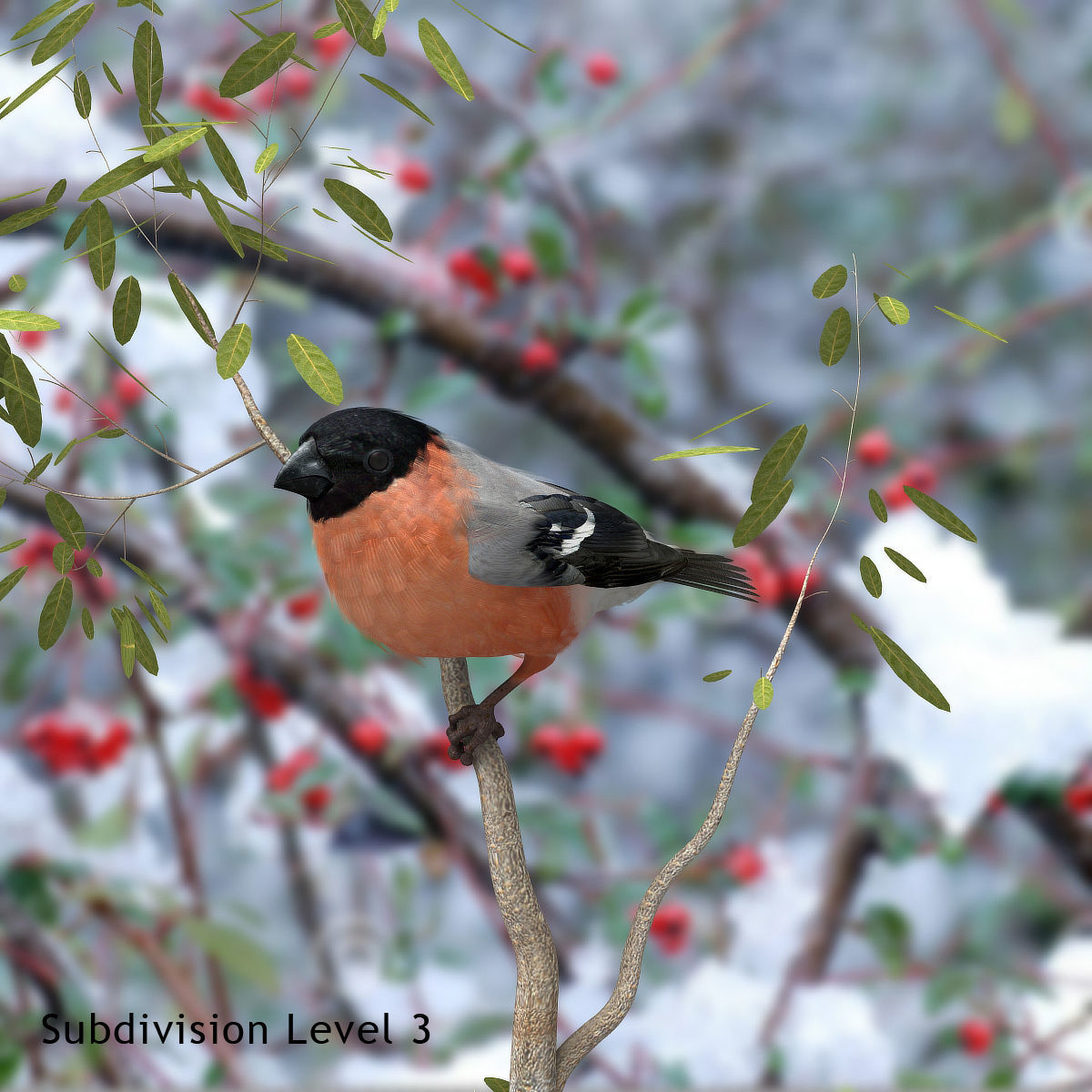 Eurasian Bullfinch - rigged - animated 3D model_30