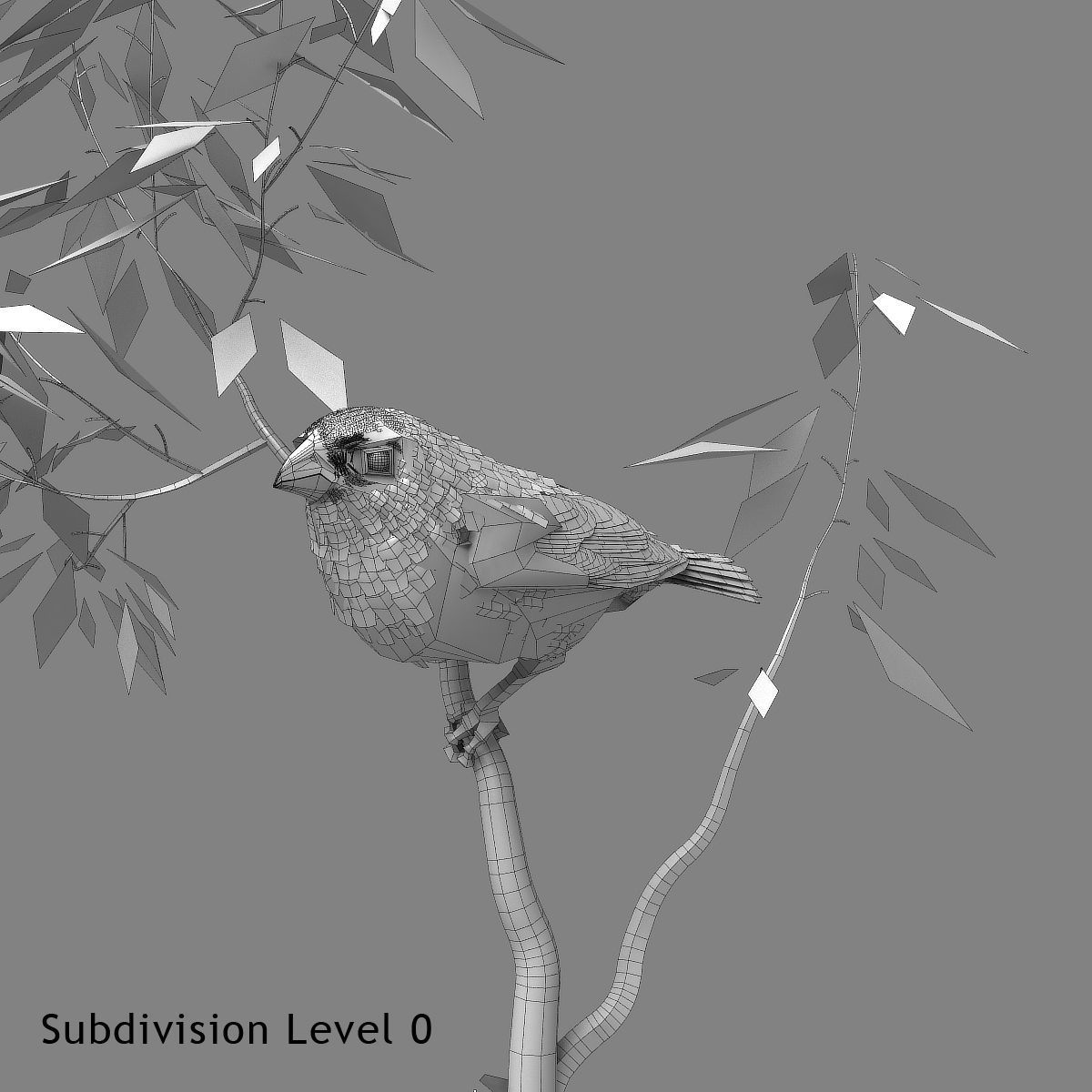 Eurasian Bullfinch - rigged - animated 3D model_12