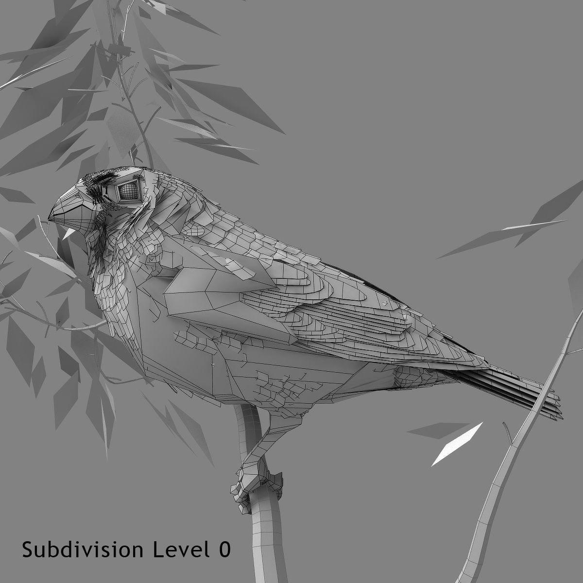 Eurasian Bullfinch - rigged - animated 3D model_20