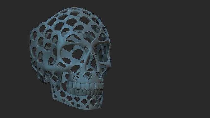 skull 3d model with holes in it 3D print model