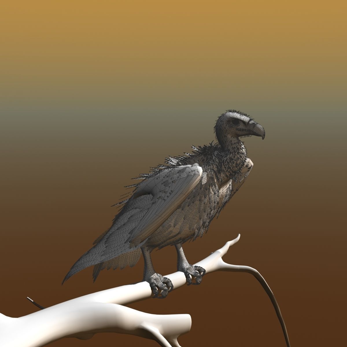Griffon Vulture - rigged - animated 3D model_28