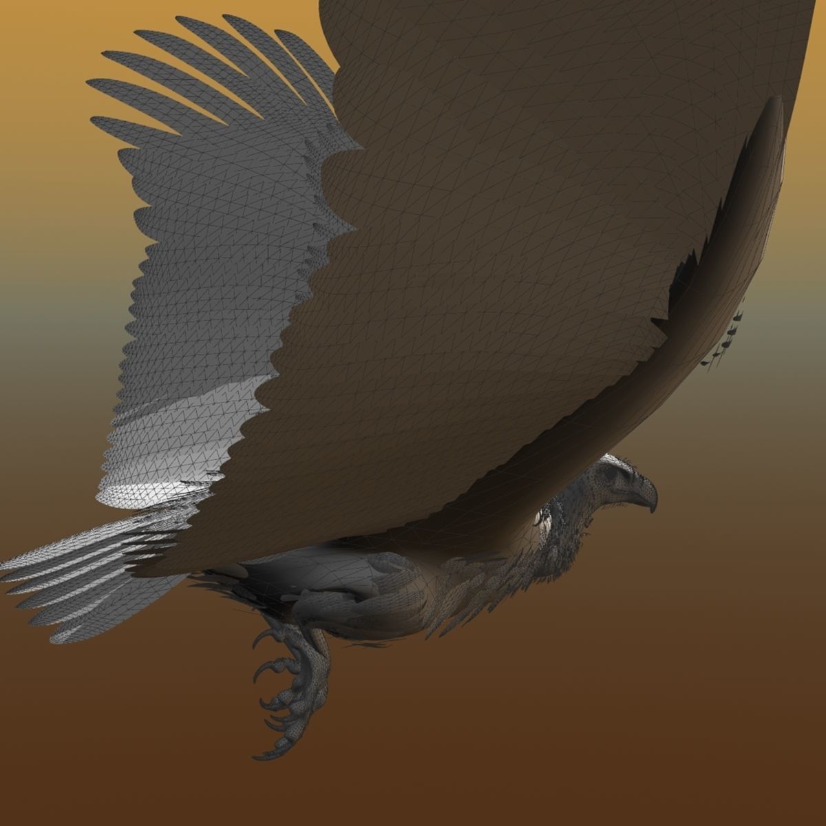 Griffon Vulture - rigged - animated 3D model_30