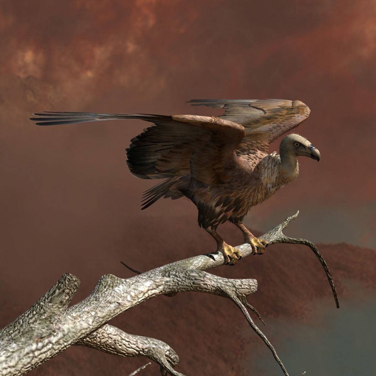 Griffon Vulture - rigged - animated 3D model_6