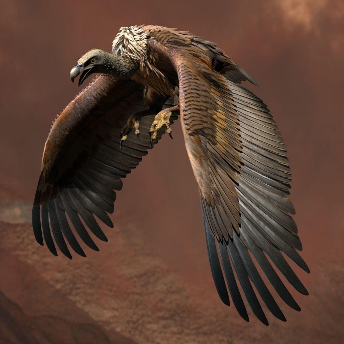 Griffon Vulture - rigged - animated 3D model_9