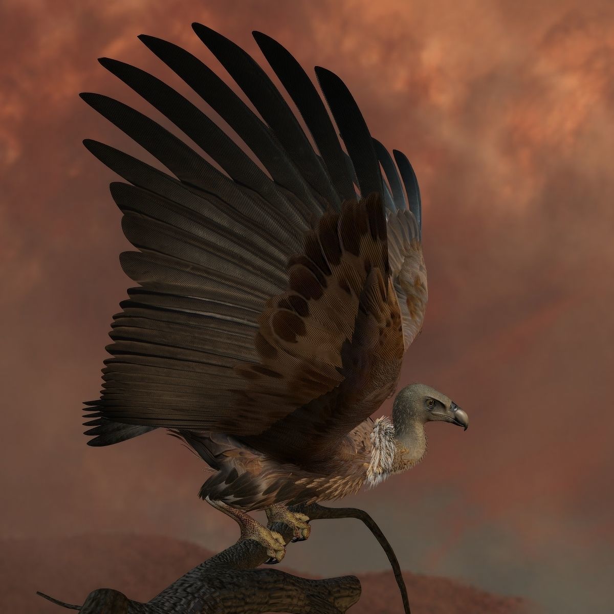 Griffon Vulture - rigged - animated 3D model_14