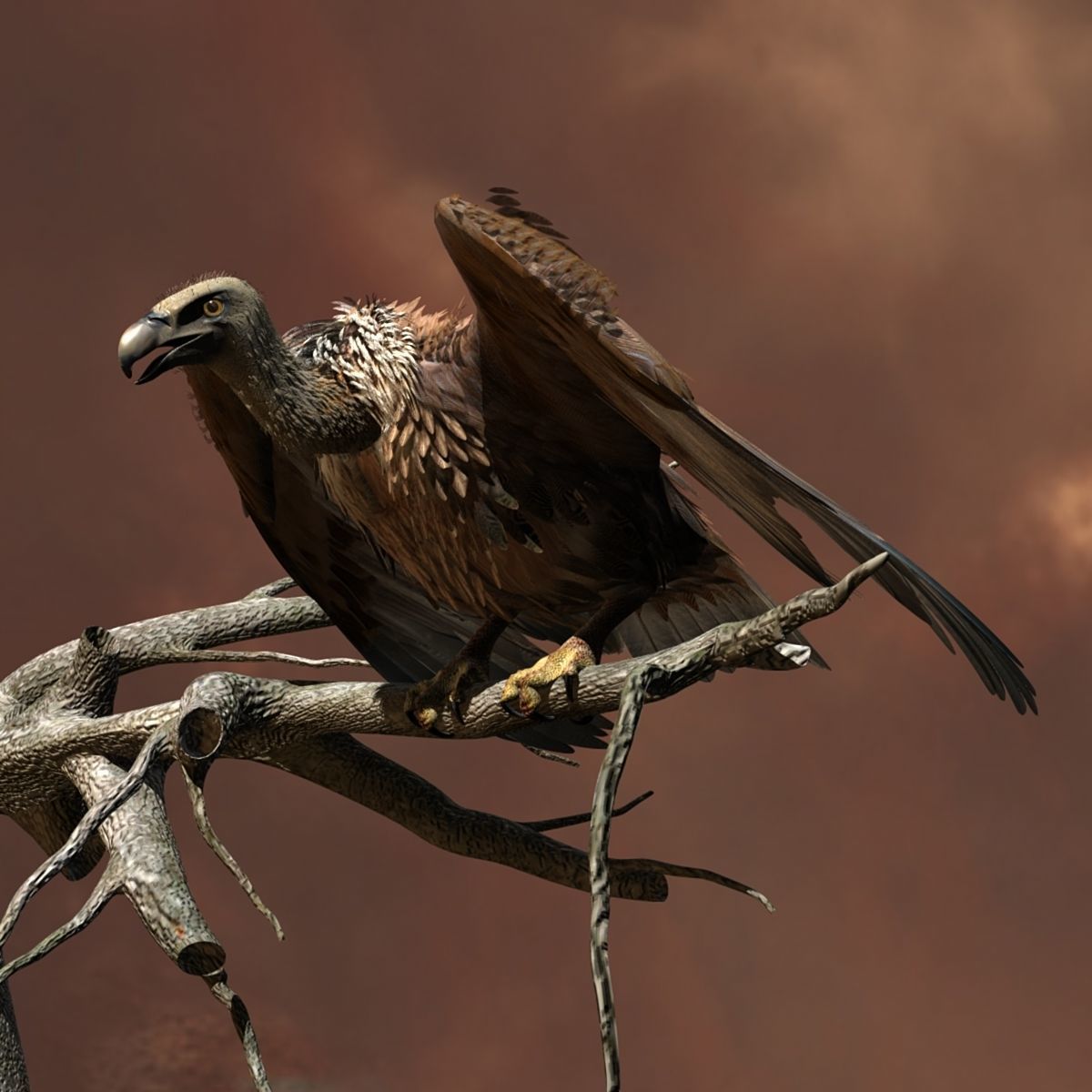 Griffon Vulture - rigged - animated 3D model_11