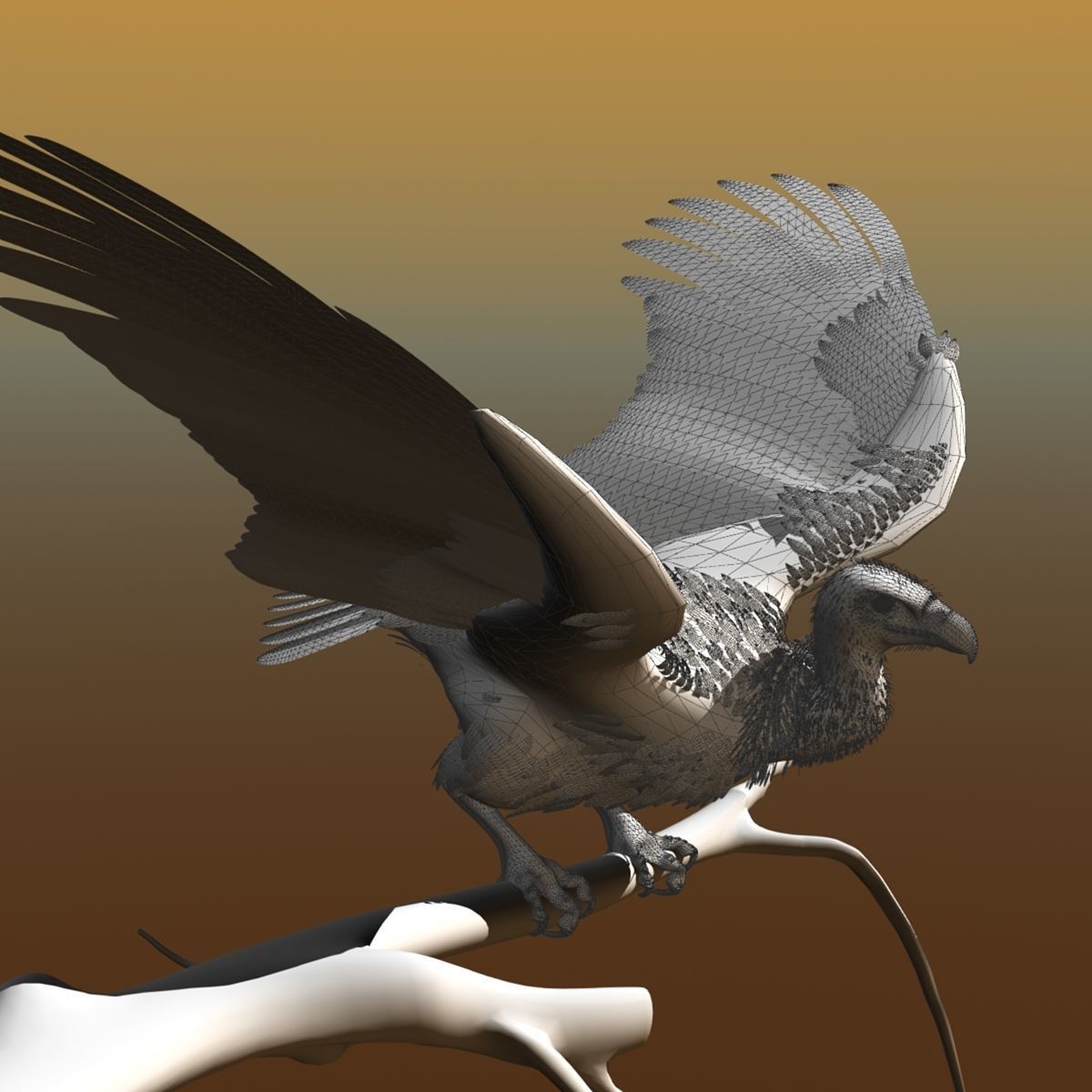 Griffon Vulture - rigged - animated 3D model_31