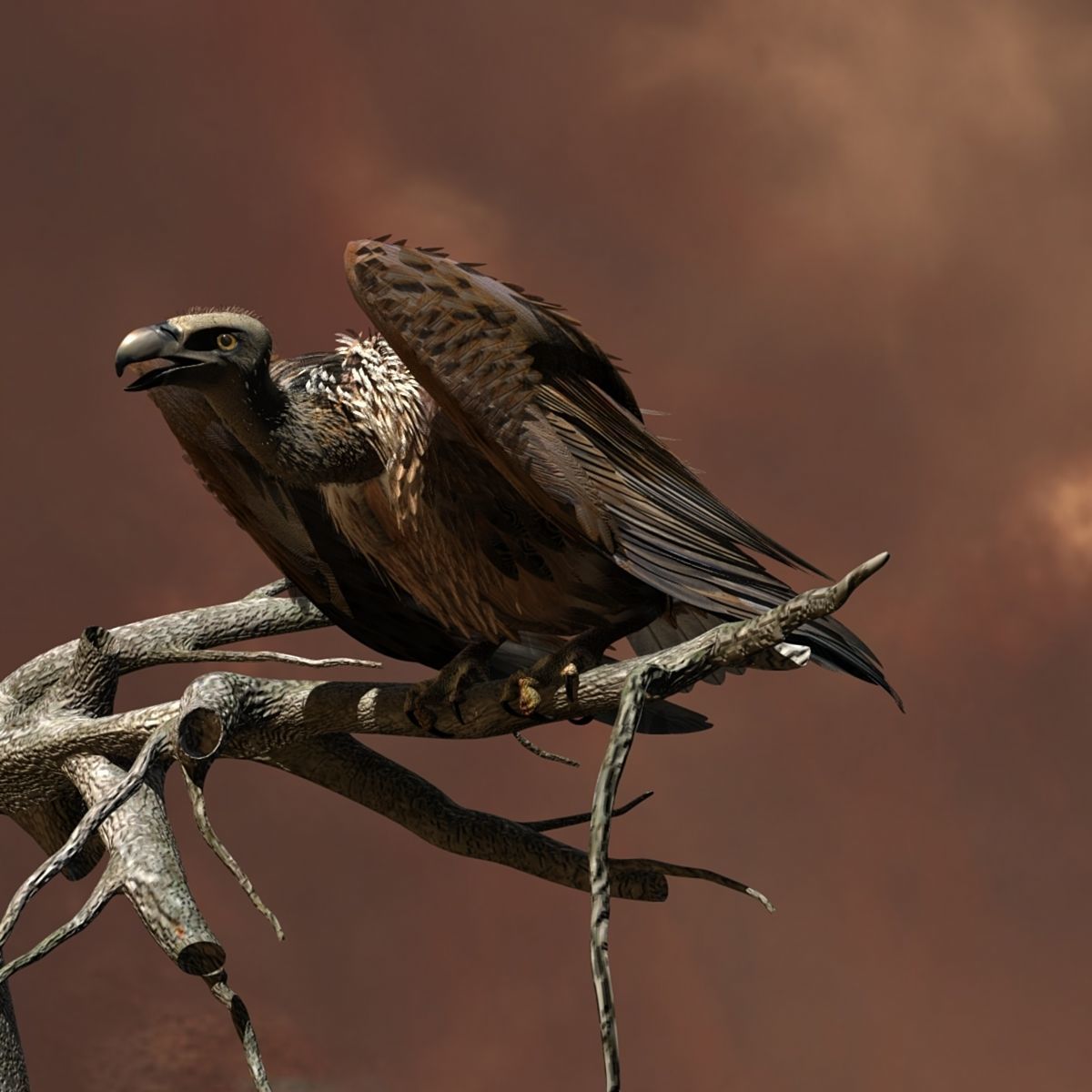Griffon Vulture - rigged - animated 3D model_12