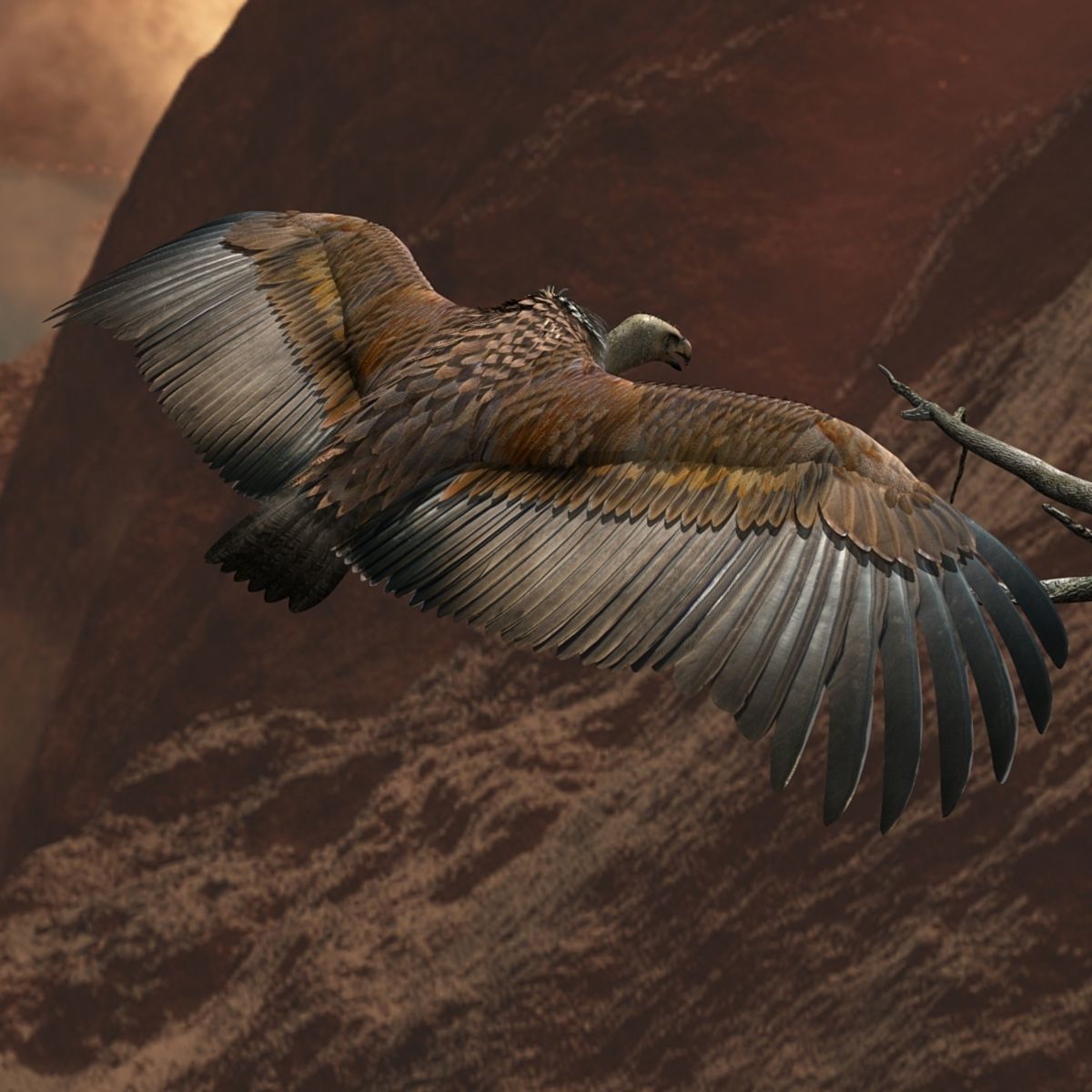 Griffon Vulture - rigged - animated 3D model_10